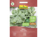 Hornbach Gemüsesamen Salatsamen FloraSelf Select Rucola 'Astra'