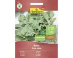 Hornbach Gemüsesamen Salatsamen FloraSelf Select Rucola 'Astra'