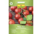 Hornbach Gemüsesamen FloraSelf Kirschtomate 'Donna Red F1'