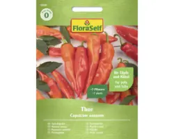 Gemüsesamen FloraSelf Paprika 'Thor F1'
