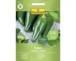Hornbach Gemüsesamen FloraSelf Chilli 'Padron'