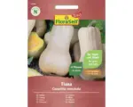 Hornbach Gemüsesamen FloraSelf Select Kürbis 'Tiana F1 '