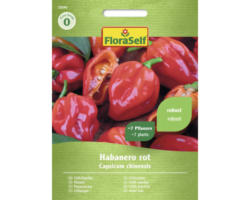 Gemüsesamen FloraSelf Chilli 'Habanero rot F1'