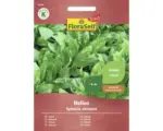 Hornbach Gemüsesamen FloraSelf Select Spinat ' Helios F1'