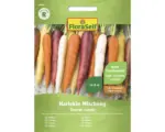 Hornbach Gemüsesamen FloraSelf Karotte 'Harlekin Mischung F1'