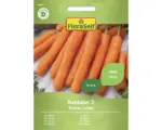 Hornbach Gemüsesamen FloraSelf Karotte 'Nantaise 2'