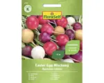 Hornbach Gemüsesamen FloraSelf Radieschen 'Easter Egg Mischung'