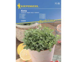 Kräutersamen Kiepenkerl Oregano 'Kreta'