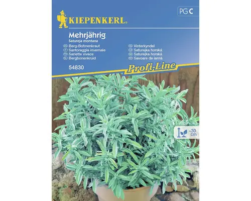 Kräutersamen Kiepenkerl Berg-Bohnenkraut