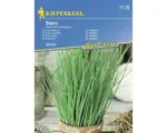 Hornbach Kräutersamen Kiepenkerl Schnittlauch 'Staro'