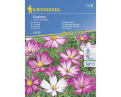 Blumensamen Kiepenkerl Schmuckkörbchen 'Cosimo'