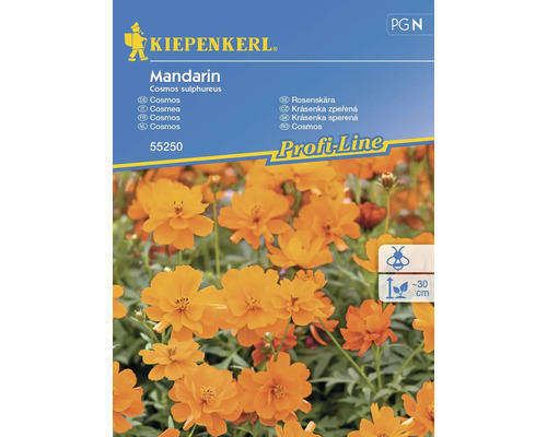 Blumensamen Kiepenkerl Schmuckkörbchen 'Mandarin'