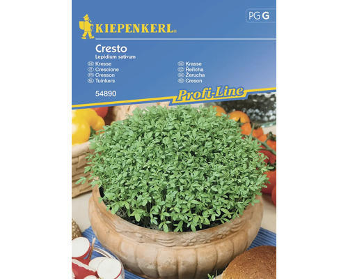 Kräutersamen Kiepenkerl Kresse 'Cresto'