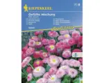 Hornbach Blumensamen Kiepenkerl Gänseblümchen 'Gefüllte Mischung'