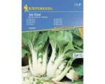 Hornbach Gemüsesamen Kiepenkerl Pak Choi 'Joi Choi'