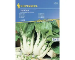 Gemüsesamen Kiepenkerl Pak Choi 'Joi Choi'
