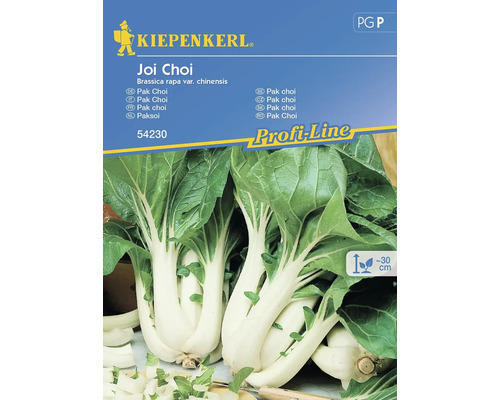 Gemüsesamen Kiepenkerl Pak Choi 'Joi Choi'