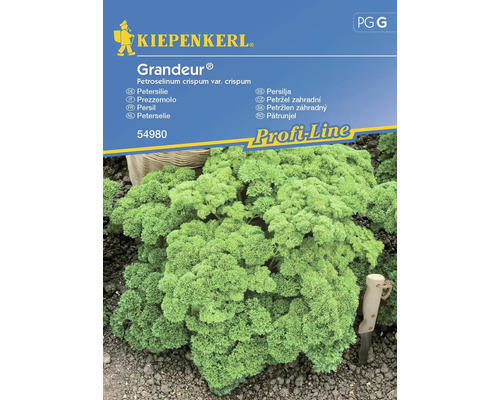 Kräutersamen Kiepenkerl Petersilie 'Grandeur'