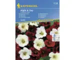 Hornbach Blumensamen Kiepenkerl Kapuzinerkresse 'Night & Day'