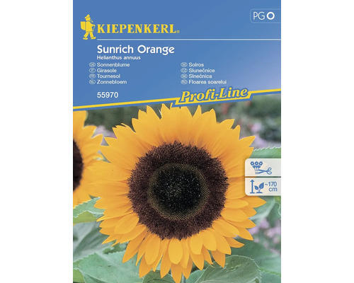 Blumensamen Kiepenkerl Sonnenblume 'Sunrich Orange'