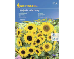 Blumensamen Kiepenkerl Sonnenblume 'Majestic Mischung'