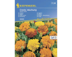 Blumensamen Kiepenkerl Tagetes, Studentenblume gefüllt 'Cresto Mischung'