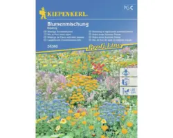 Blumenmischung Kiepenkerl 'Niedrige Sommerblumen'