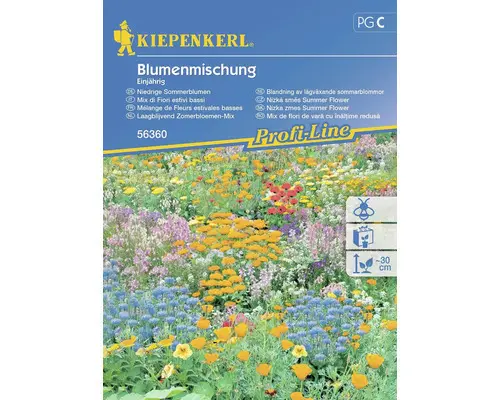 Blumenmischung Kiepenkerl 'Niedrige Sommerblumen'