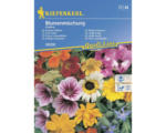 Hornbach Blumenmischung Kiepenkerl 'Essbare Blüten'