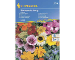 Blumenmischung Kiepenkerl 'Essbare Blüten'