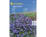 Hornbach Blumensamen Kiepenkerl Lobelie, Männertreu 'Kaiser Wilhelm'