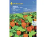 Hornbach Blumensamen Kiepenkerl Lampionblume