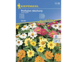 Blumensamen Kiepenkerl Zinnie 'Profusion Mischung'