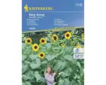 Hornbach Blumensamen Kiepenkerl Sonnenblume 'King Kong'