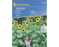 Blumensamen Kiepenkerl Sonnenblume 'King Kong'