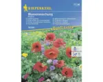 Hornbach Blumenmischung Kiepenkerl Mischung 'Nützlingswiese'