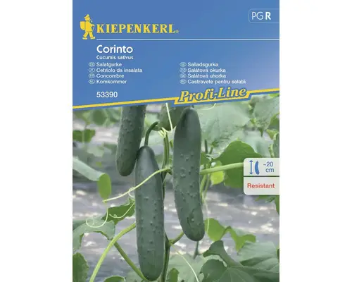 Gemüsesamen Kiepenkerl Salatgurke 'Corinto'