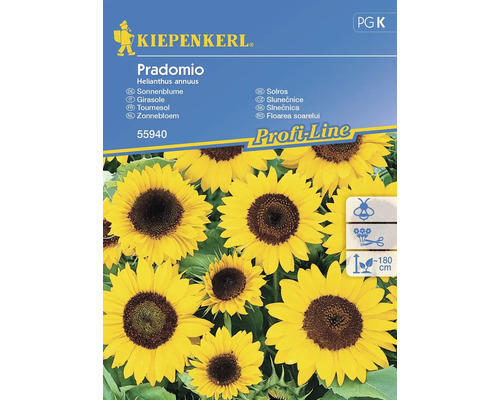 Blumensamen Kiepenkerl Sonnenblume 'Pradomio'