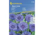 Hornbach Blumensamen Kiepenkerl Kornblume 'Blauer Junge'