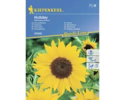 Blumensamen Kiepenkerl Sonnenblume 'Holiday'