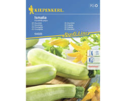 Gemüsesamen Kiepenkerl Zucchini 'Ismalia'