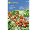 Hornbach Gemüsesamen Kiepenkerl Tomate 'Matina'