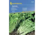 Hornbach Gemüsesamen Kiepenkerl Stielmus 'Namenia'