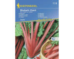 Hornbach Gemüsesamen Kiepenkerl Mangold 'Rhubarb Chard'
