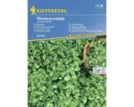 Hornbach Gemüsesamen Kiepenkerl Winterportulak