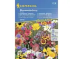 Hornbach Blumenmischung Kiepenkerl 'Amerikanische Landblumen'