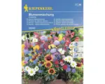 Hornbach Staudenmischung Kiepenkerl 'Baristo Balkon-Stauden'