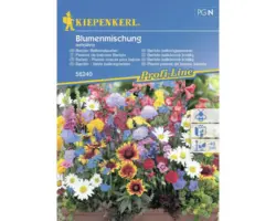 Staudenmischung Kiepenkerl 'Baristo Balkon-Stauden'