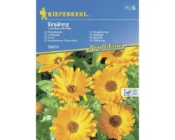 Kräutersamen Kiepenkerl Wilde Ringelblume