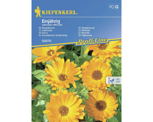 Kräutersamen Kiepenkerl Wilde Ringelblume